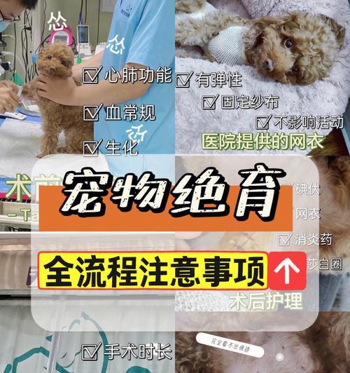 黑熊绝育的必要性和过程是怎样的？