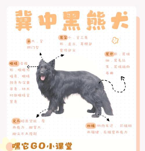 黑熊绝育的必要性和过程是怎样的？