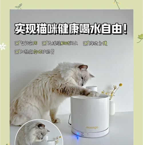 猫用饮水机如何搭配猫粮？正确的喂食方法是什么？