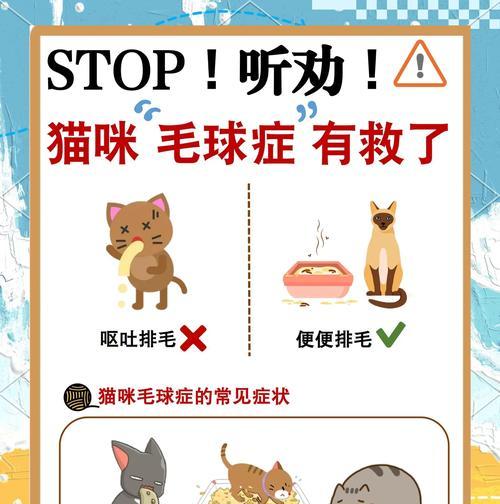 猫吐完毛球后不吃猫粮的原因是什么？