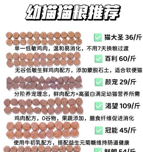 短脚猫偏好的猫粮类型是什么？