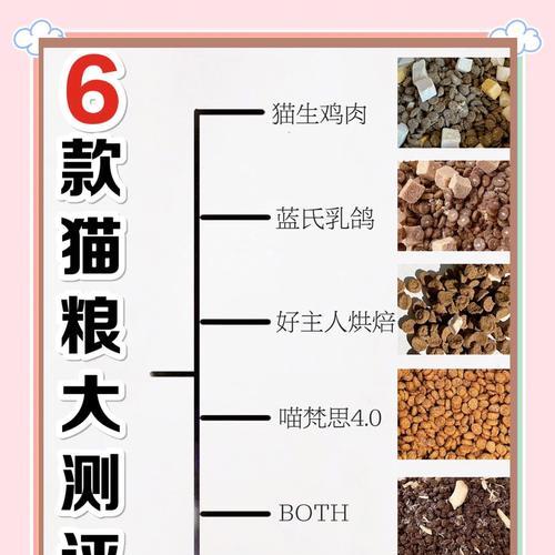 短脚猫偏好的猫粮类型是什么？