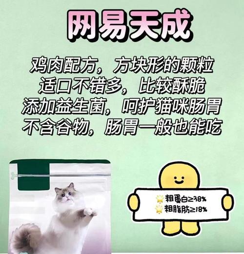 猫粮导致猫咪掉毛多？原因何在？