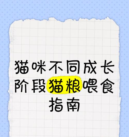 无需7天过渡的猫粮怎么喂？喂食方法是什么？