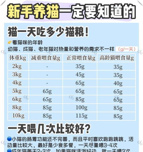 成年猫粮应该如何选择？有哪些注意事项？