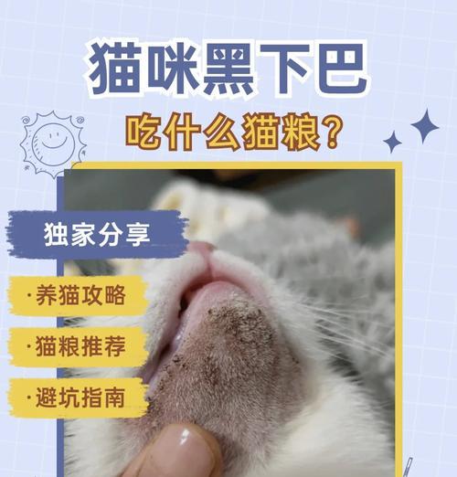 哪种猫粮适合黑下巴的猫咪？如何选择？