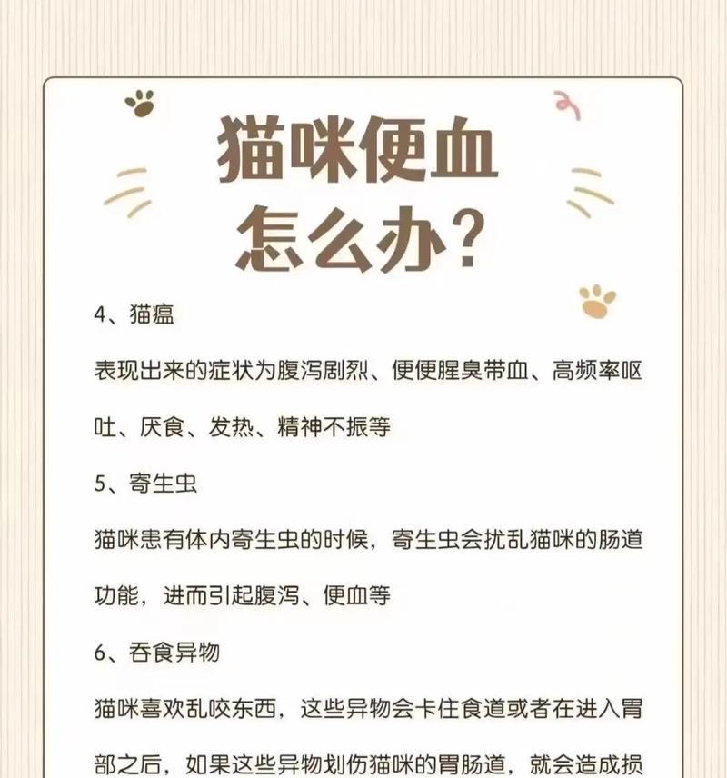 小猫排便异常的原因是什么？