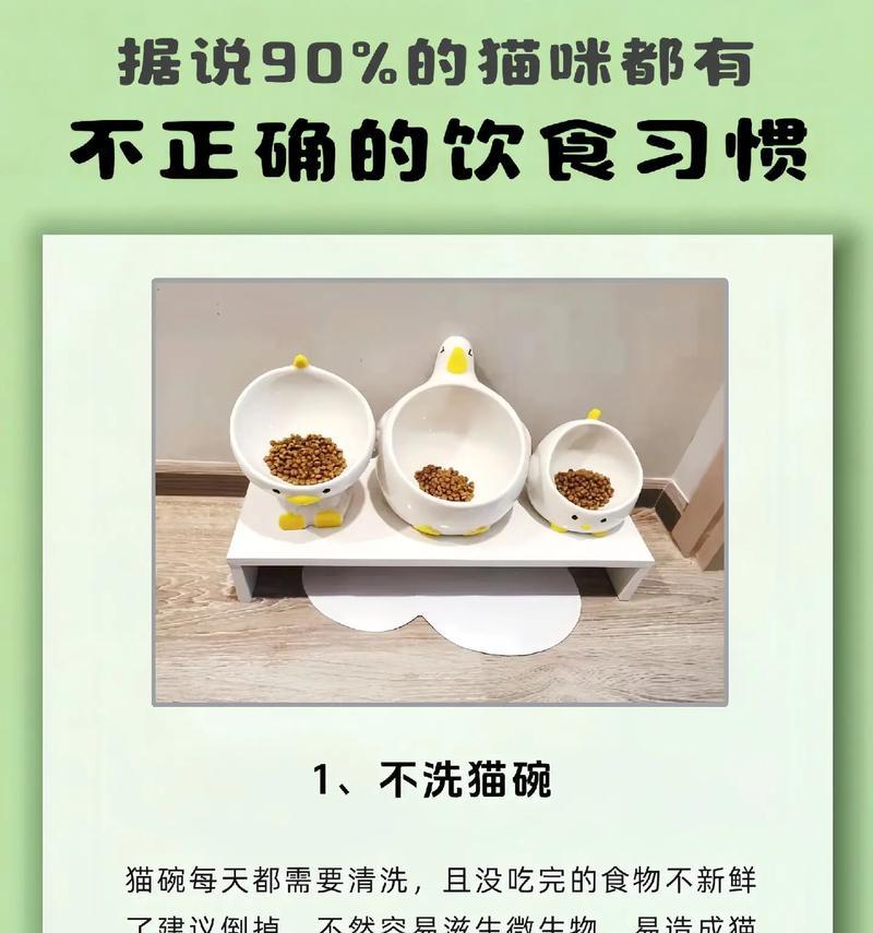 吃猫粮嫌弃的小猫怎么办？如何改善猫咪的饮食习惯？