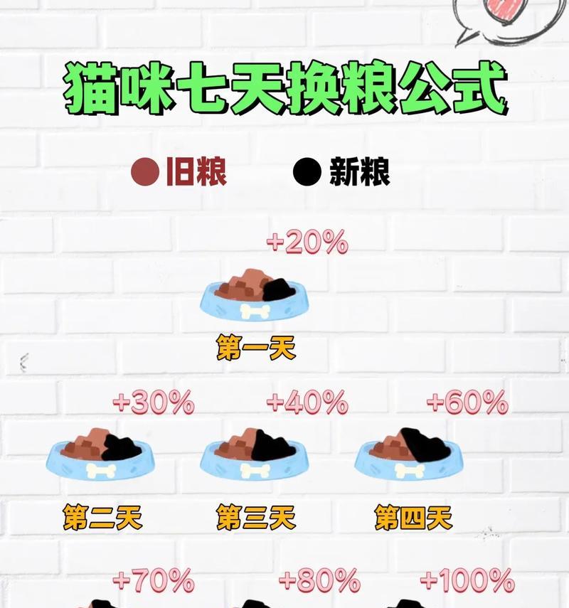 如何为流浪猫调整猫粮？