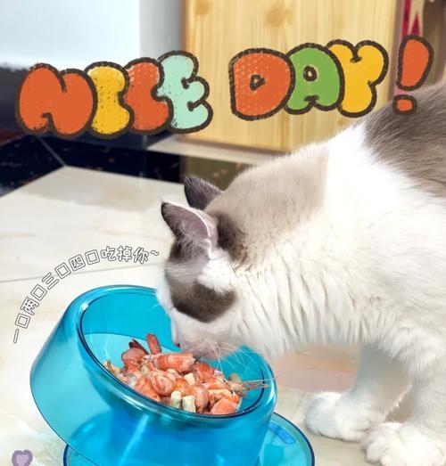 猫咪打翻猫粮碗后应如何处理？