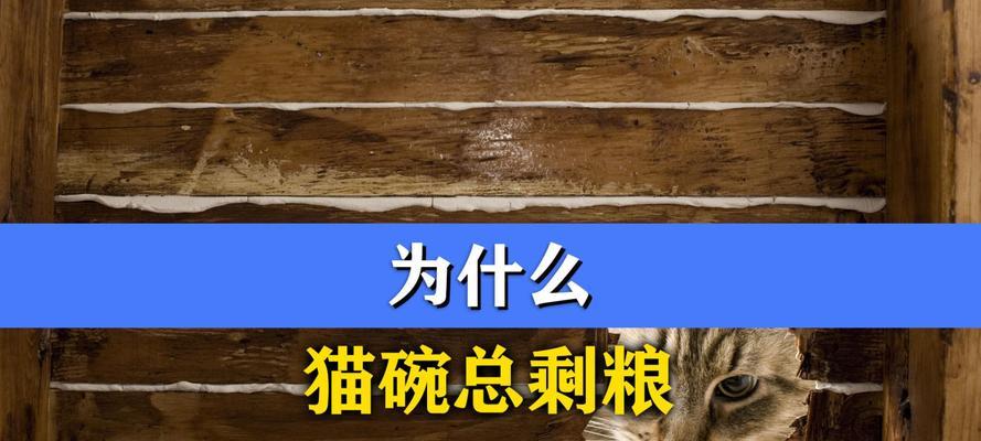 猫咪为何总是剩下猫粮？这背后的原因是什么？