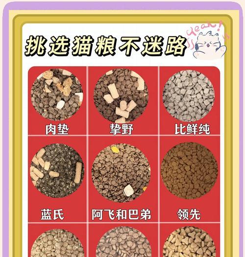 智商高的猫粮有哪些特点？小猫吃什么猫粮更聪明？