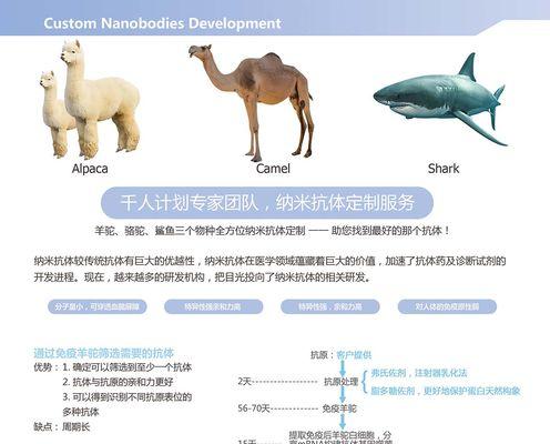 羊驼纳米抗体是什么时候发现的