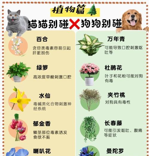 猫粮给狗吃后不吃的原因是什么？