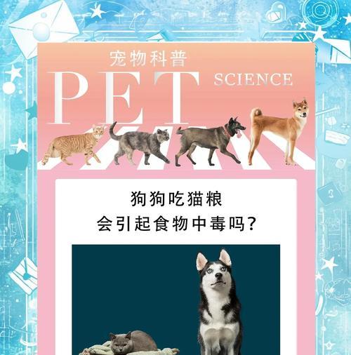 猫粮给狗吃后不吃的原因是什么？