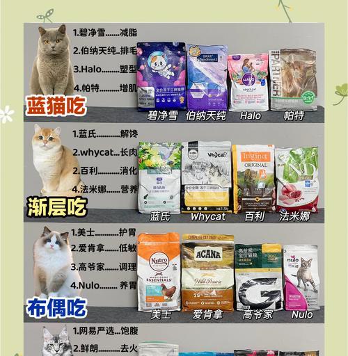 猫咪宿主应选择哪种猫粮？