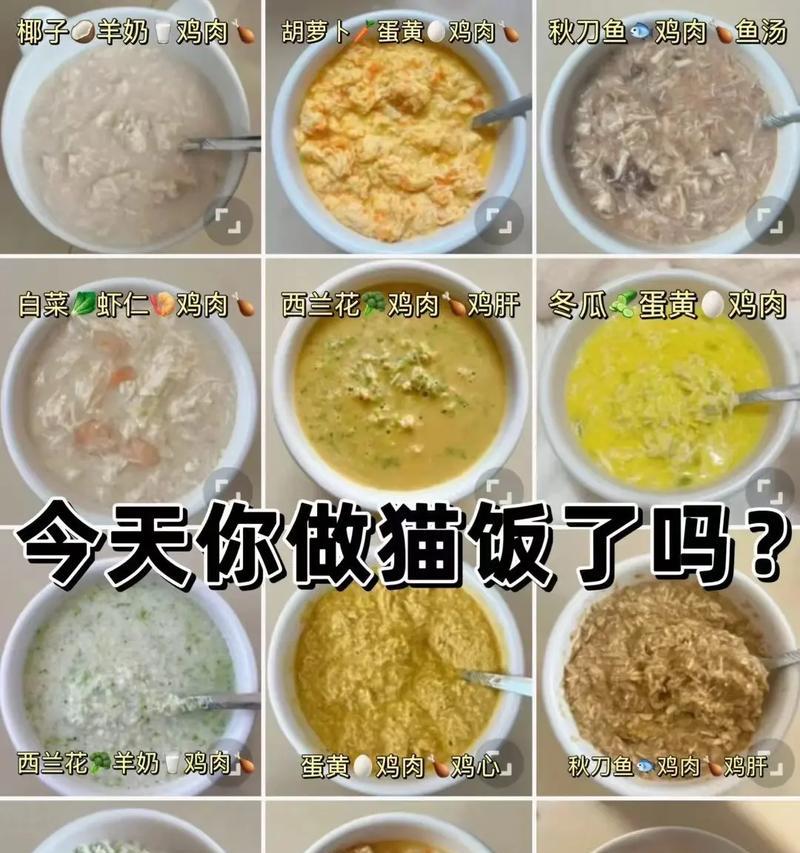 给猫粮补奶做鱼方法是什么？这样做对猫咪有益吗？