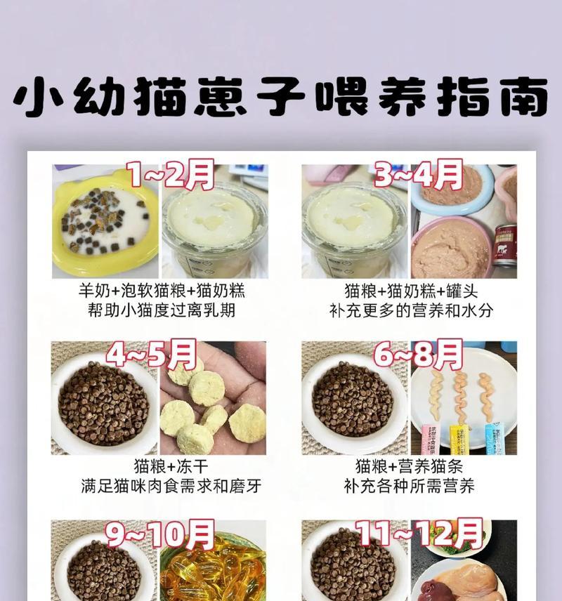 给猫粮补奶做鱼方法是什么？这样做对猫咪有益吗？