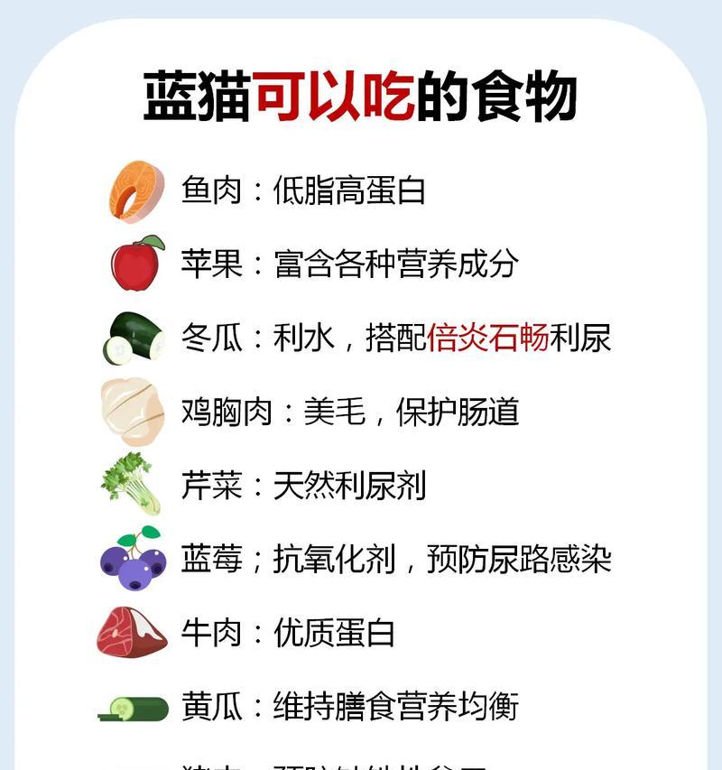 蓝猫只吃猫粮的原因是什么？是否需要改变饮食习惯？