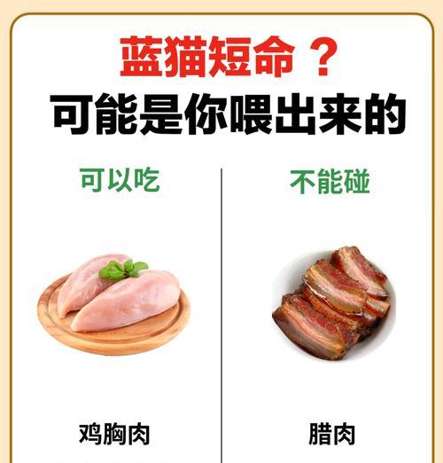 蓝猫只吃猫粮的原因是什么？是否需要改变饮食习惯？