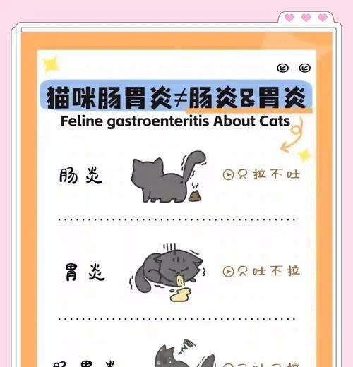 宠物猫吃鱼吐刺的原因是什么？如何预防？