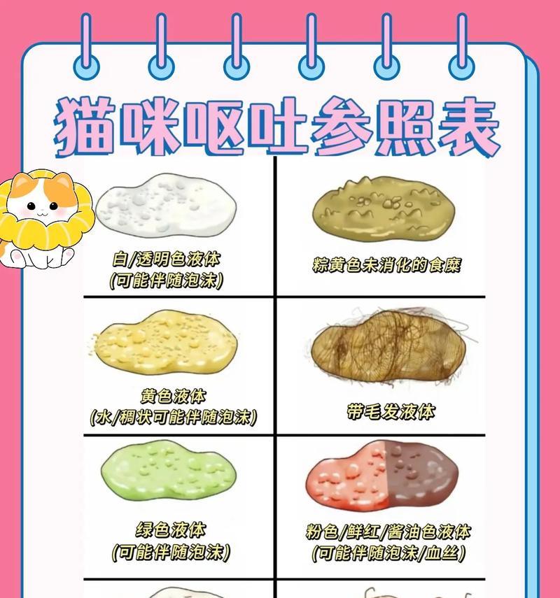 宠物猫吃鱼吐刺的原因是什么？如何预防？