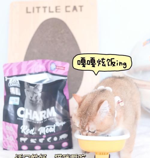 楼上猫粮猫叫声如何处理？减少猫叫的有效方法是什么？