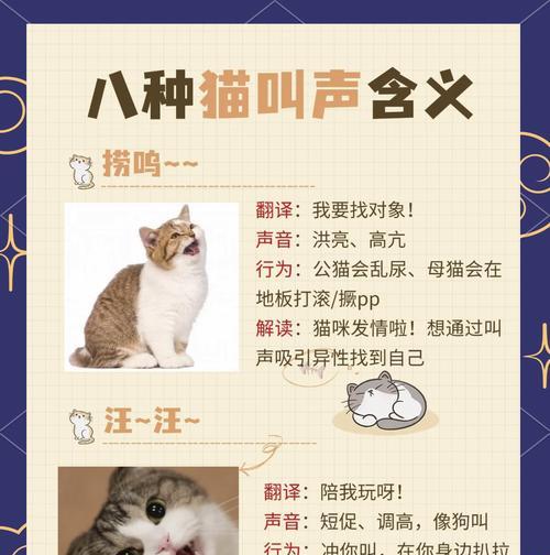 楼上猫粮猫叫声如何处理？减少猫叫的有效方法是什么？