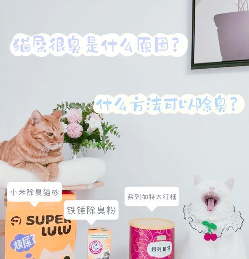 猫粮导致的猫屎如何处理？