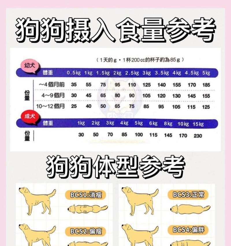 两个月杜宾犬的日常狗粮摄入量是多少？如何合理喂食？