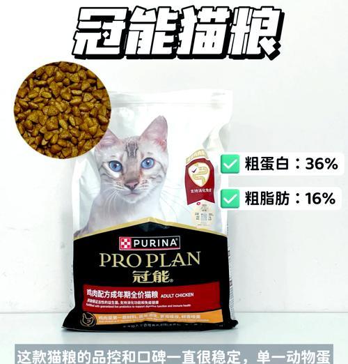 蓝猫饮水和猫粮喂养的最佳方法是什么？