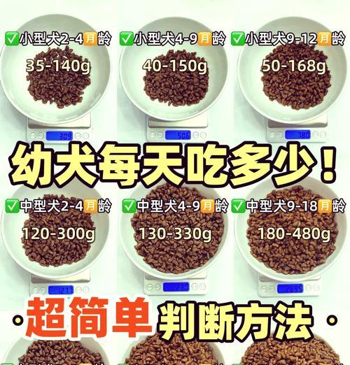 德牧喂食鸡肉每次多少量才算正常？