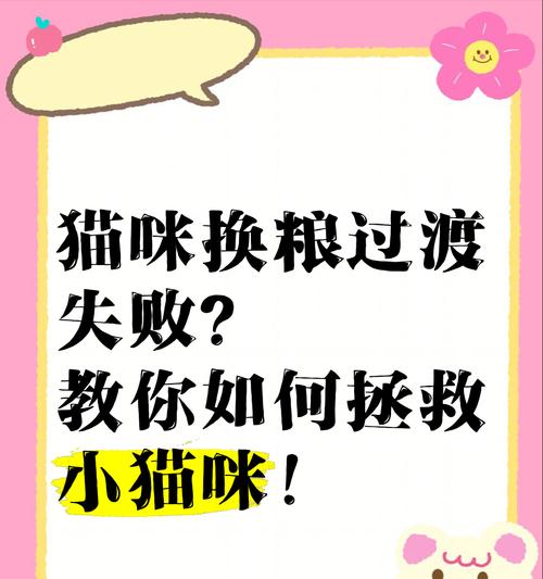 猫咪换粮不适应应如何处理？