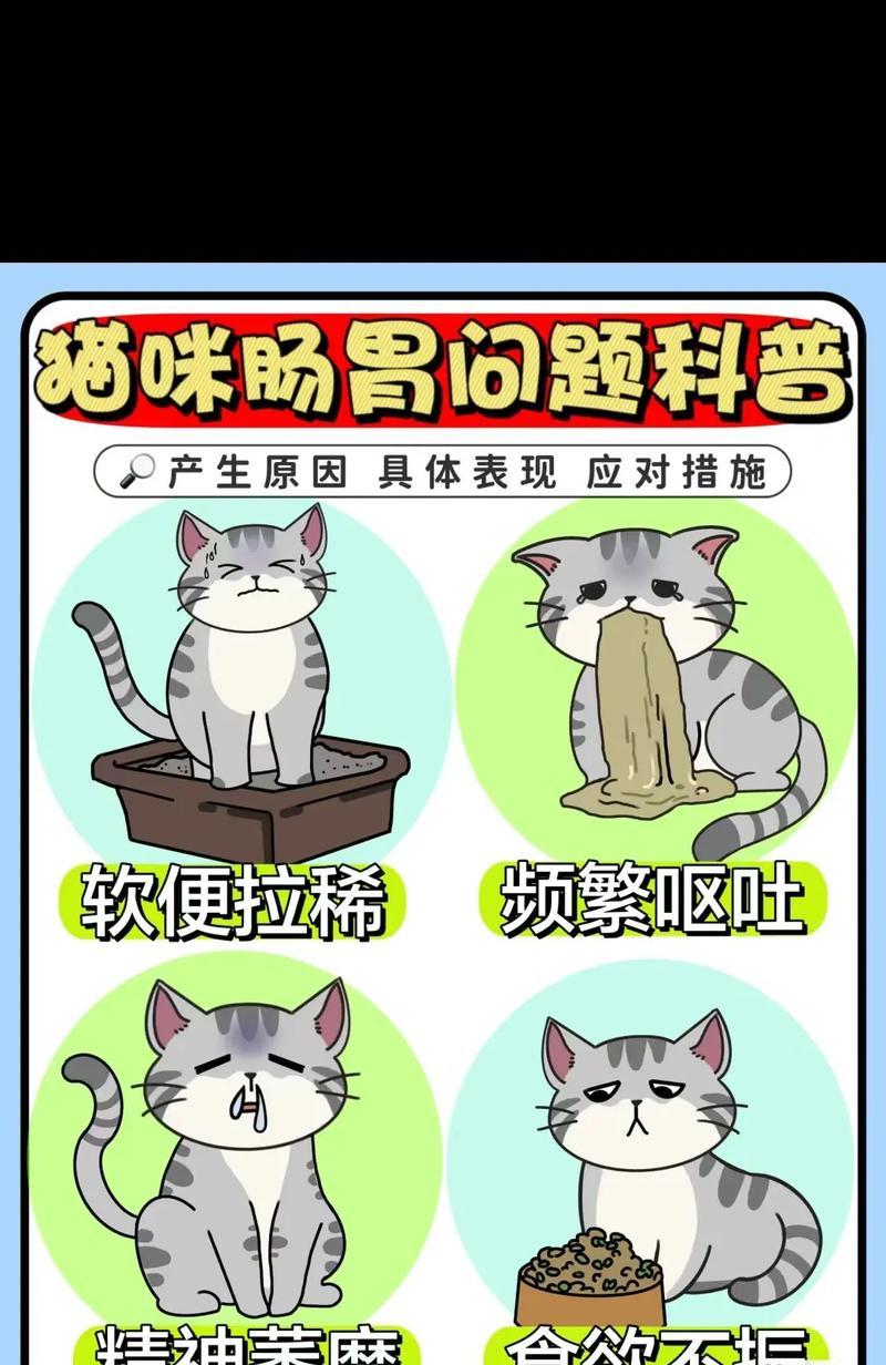 猫咪换粮不适应应如何处理？
