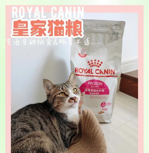 猫咪挑嘴怎么办？什么猫粮更吸引它们？