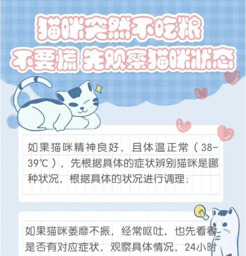 猫咪突然不爱吃猫粮是怎么回事？如何解决这个问题？