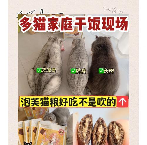 王泡芙适合哪种猫粮？哪种猫粮对王泡芙来说最好吃？