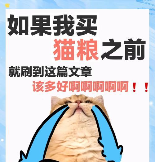 新的猫粮为什么是湿的？湿猫粮的制作过程和保存方法是什么？