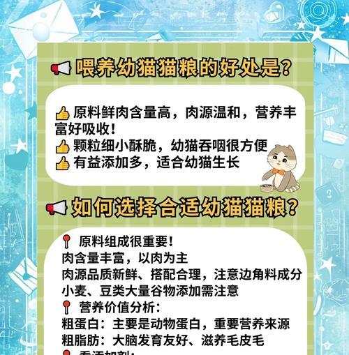 幼儿猫咪吃猫粮好吗怎么喂？需要注意什么？