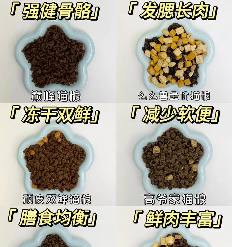 自制猫粮的正确方法是什么？需要哪些材料和工具？