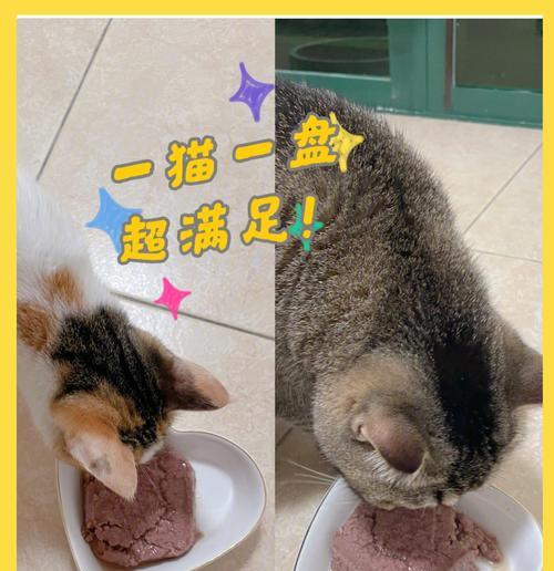 如何用叶子制作美味猫粮？有哪些步骤？