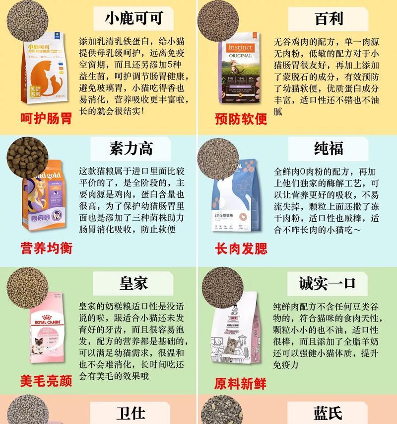 新手如何正确喂食猫粮？