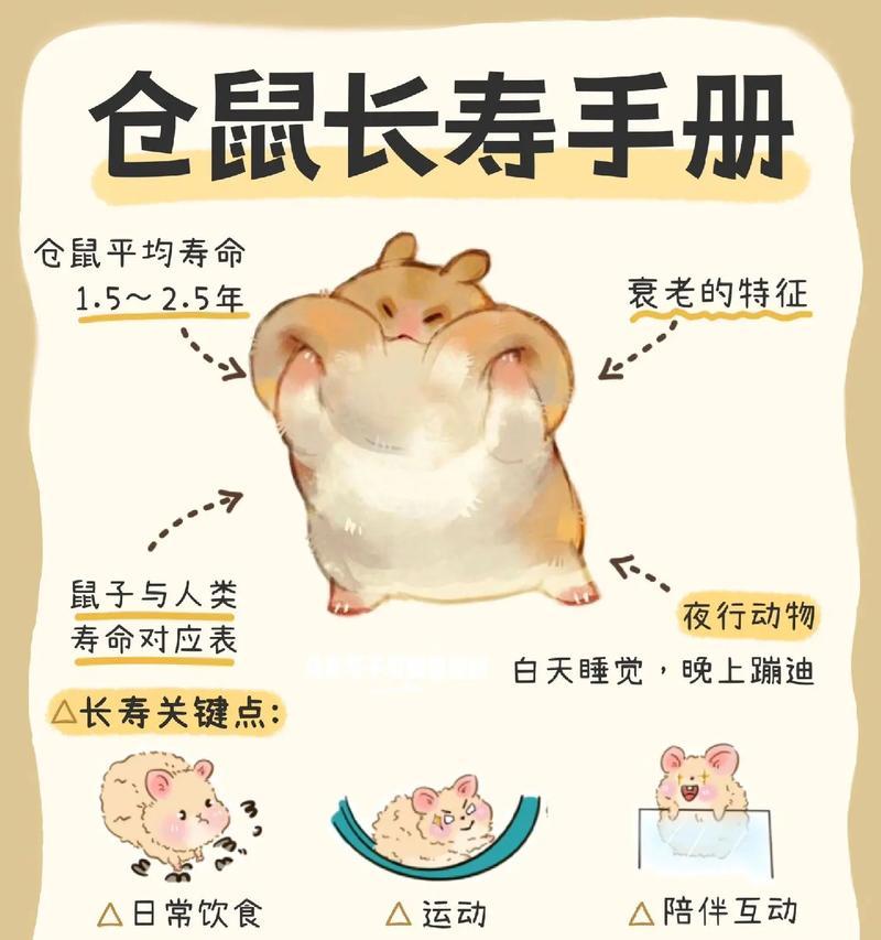小仓鼠能吃欧扎克吗怎么喂食最好？欧扎克对仓鼠的健康有何影响？