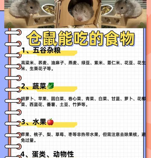 小仓鼠能吃欧扎克吗怎么喂食最好？欧扎克对仓鼠的健康有何影响？