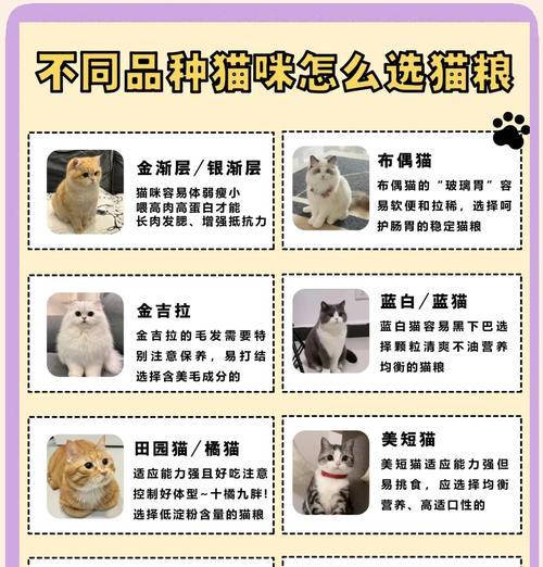 市场上猫粮种类繁多，如何挑选适合的？