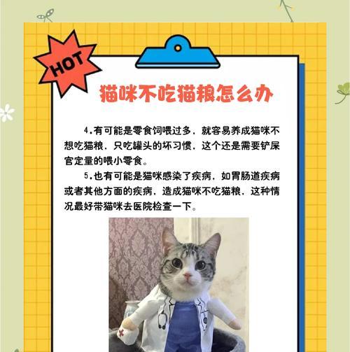 猫不嚼猫粮的可能原因是什么？