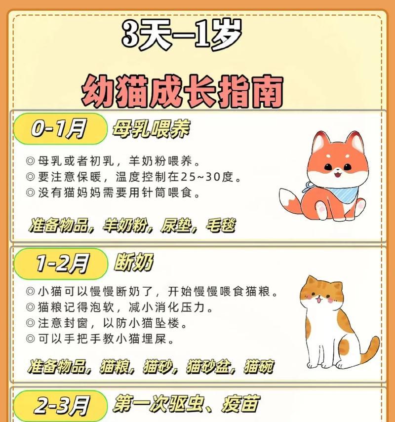 幼猫开始吃猫粮的最佳时间是什么时候？奶猫不吃猫粮怎么办？