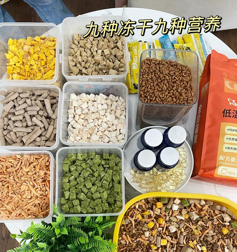 没有猫粮时，有哪些适合猫咪的替代食物？