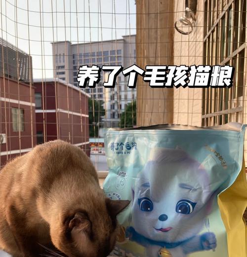 没有猫粮时，有哪些适合猫咪的替代食物？