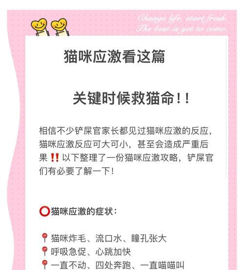 猫对火鸡成分过敏应如何处理？